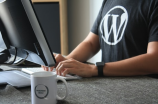 wordpress(大受欢迎的网站开发平台 - Wordpress)