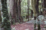 短道世锦赛林孝埈出战两单项(短道世锦赛林孝埈出战两单项，场馆门票预售现已开启)